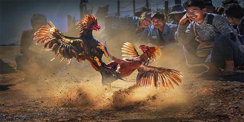 bet 169 xổ số bữa nay
