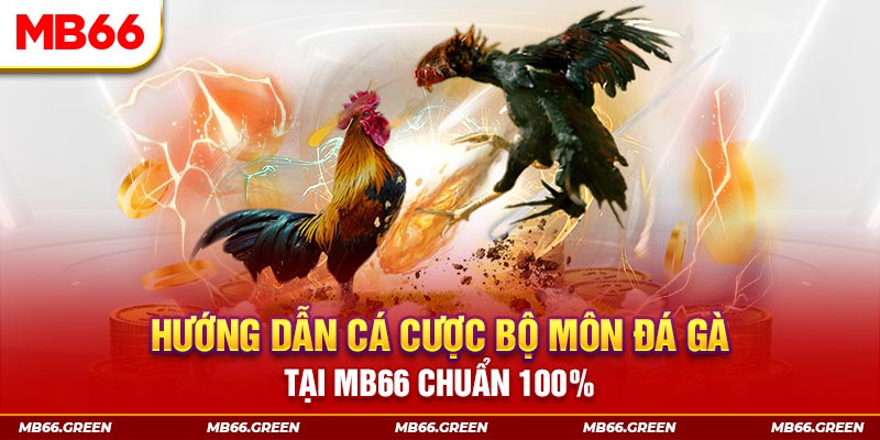 bet 169 slot là gi