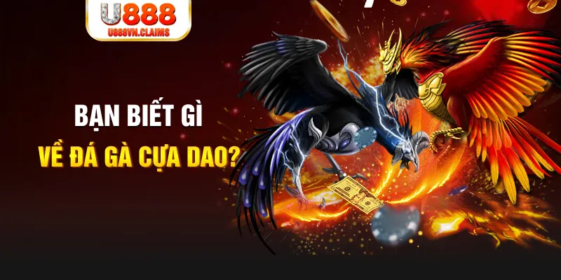 bet 169 SW Xổ Số