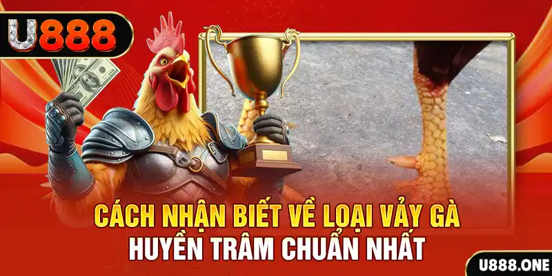 bet 169 đăng nhập nổ hũ số 1