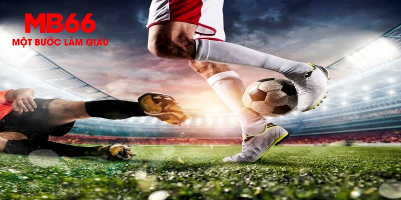 bet 169 trực tiếp đá gà thomo