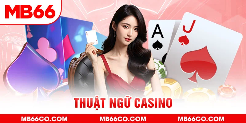 bet 169 gà chọi c1 mới nhất