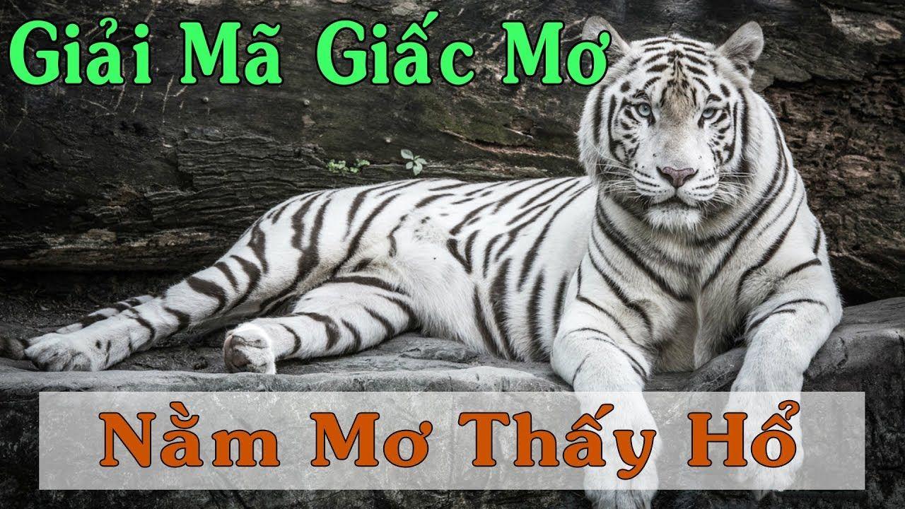 bet 169 nổ hũ là game gì