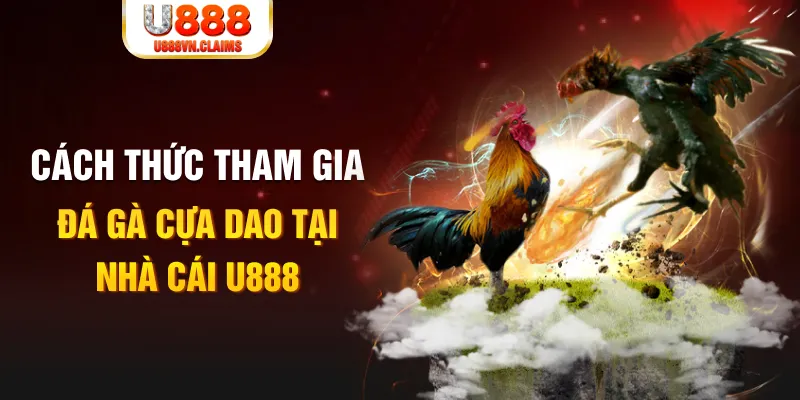 bet 169 Cỡ bảy