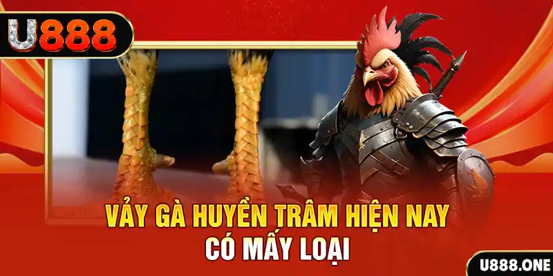 bet 169 casino online là gì