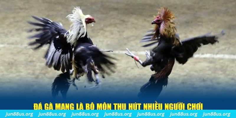 bet 169 nổ hủ nghĩa là gì