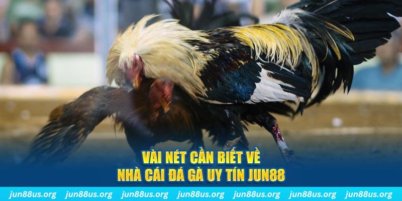 bet 169 đăng nhập phỏm khuyến mãi