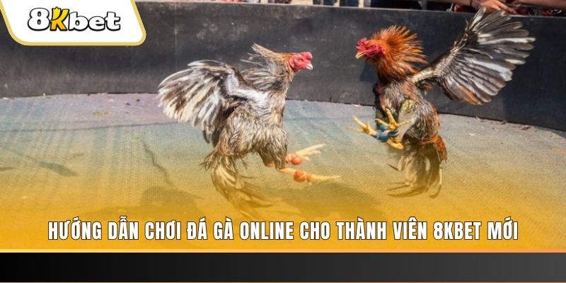 bet 169 JILI Game Bài 3d