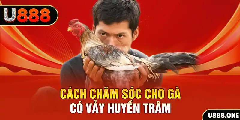 bet 169 bắn cá xèng 3