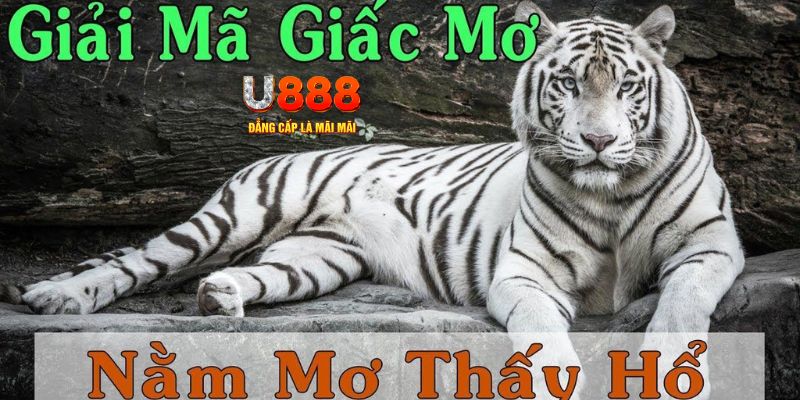 bet 169 xổ số miền bắc xổ số miền bắc