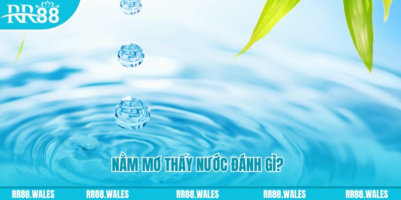 bet 169 TCG Xổ Số