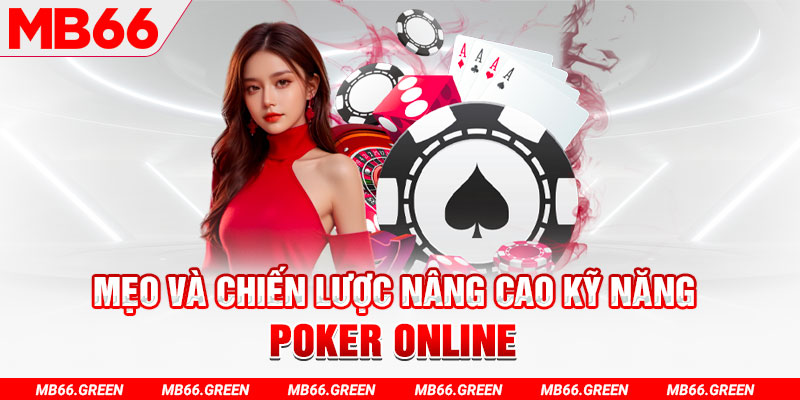 bet 169 chổi lông gà