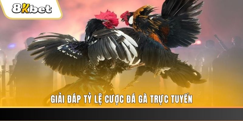bet 169 ga choi cau thanh