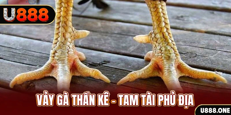 bet 169 xổ số miền trung thứ hai hàng tuần