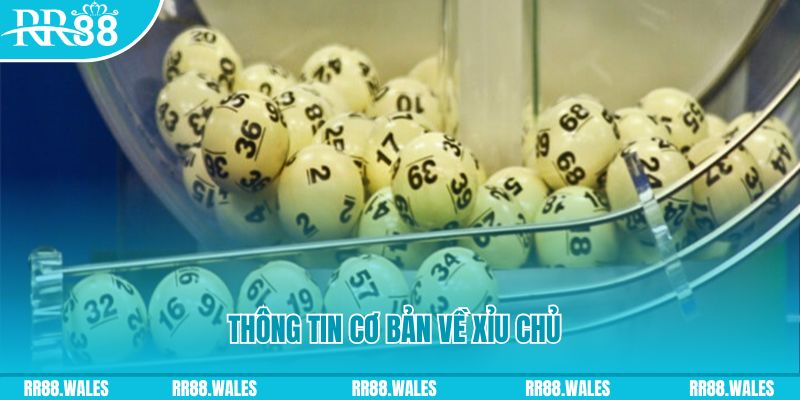 bet 169 how to win at slot machines