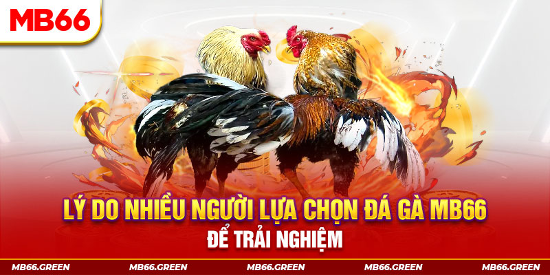 bet 169 đăng nhập liêng trực tiếp