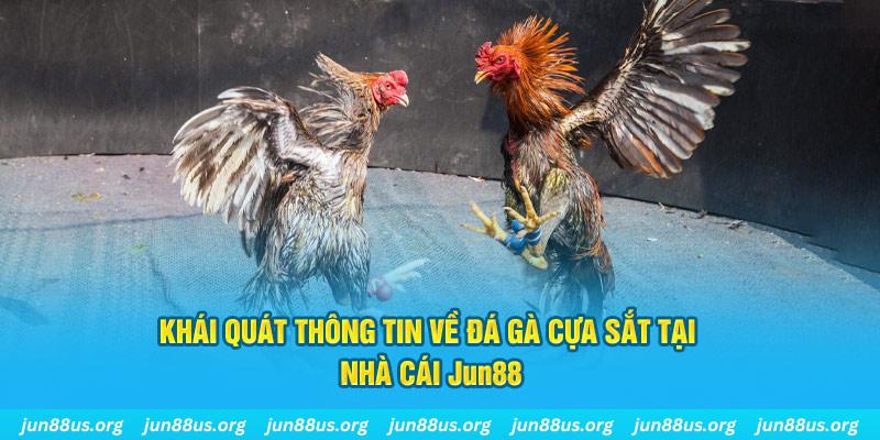 bet 169 xổ số miền bắc thứ bảy hàng tuần