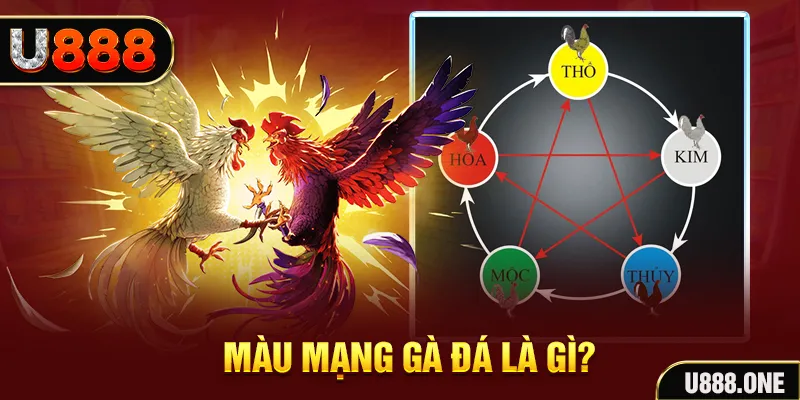 bet 169 xổ số miền trung thứ tư hàng tuần