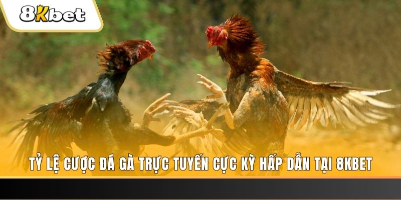 bet 169 đăng nhập mậu binh online