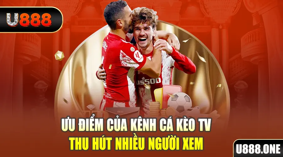 bet 169 gà chọi cu cần
