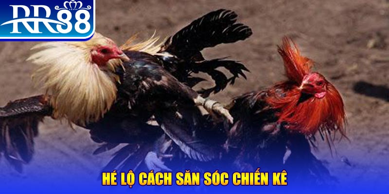 bet 169 xổ số miền trung thứ tư