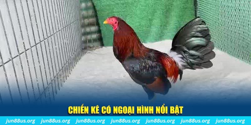 bet 169 game bắn cá