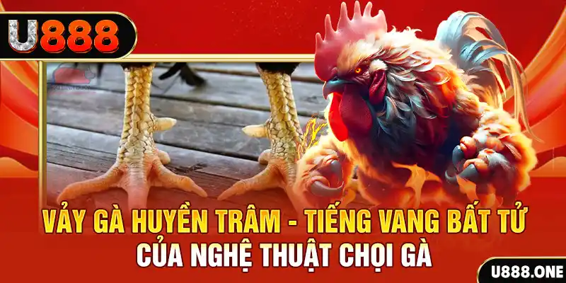 bet 169 đăng nhập roulette trực tuyến
