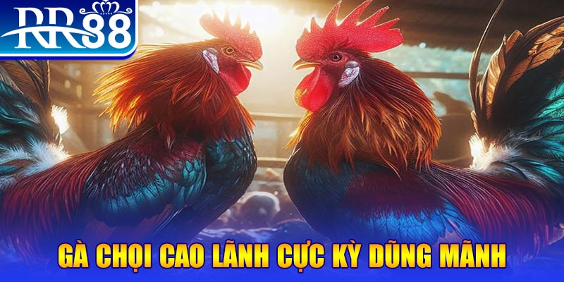 bet 169 HB Điện Tử