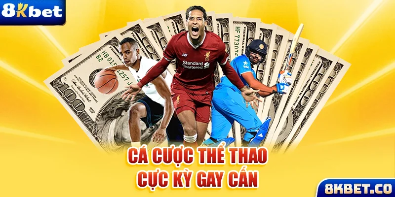 bet 169 xem đá gà trực tiếp